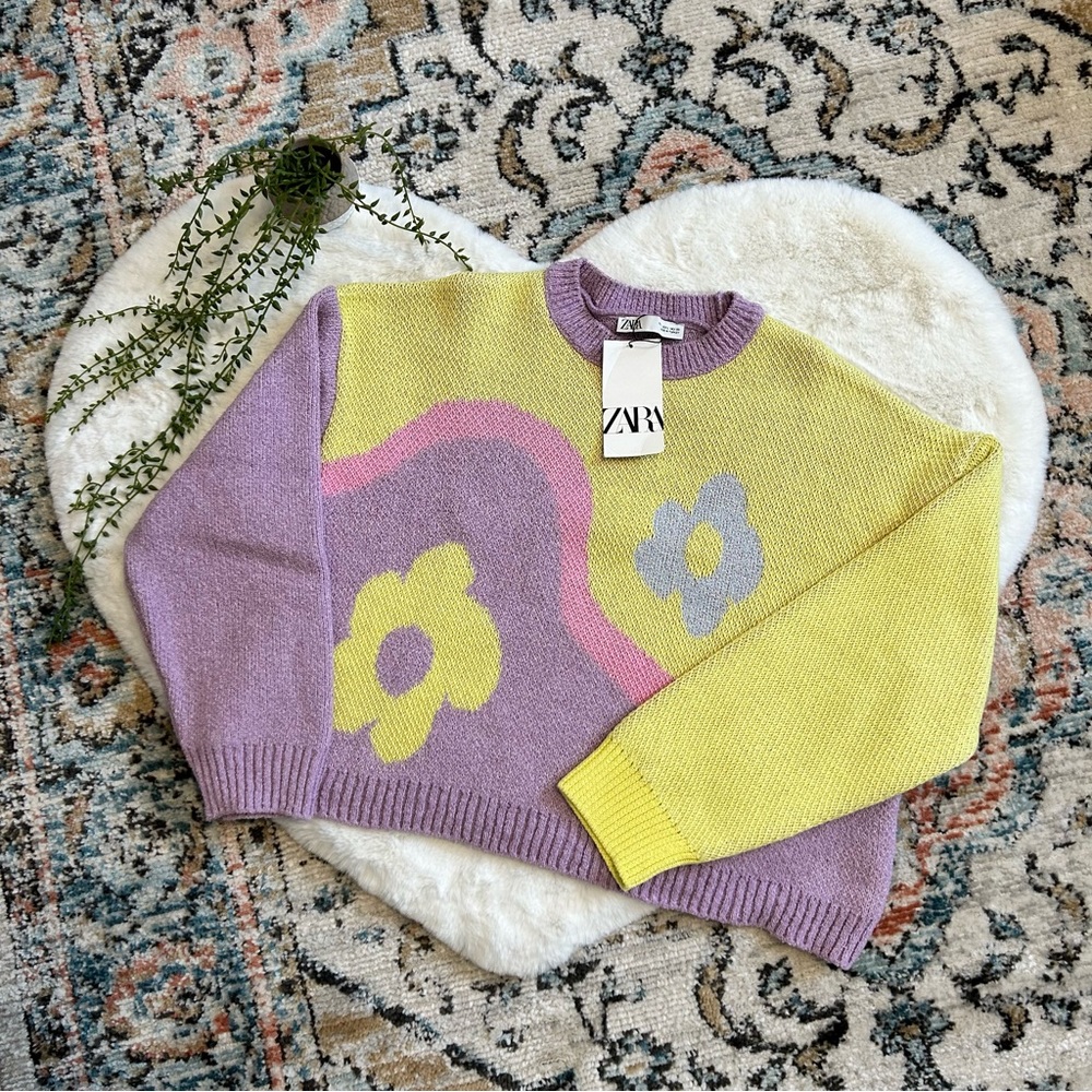 Groovy Zara Pullover Crewneck Sweater